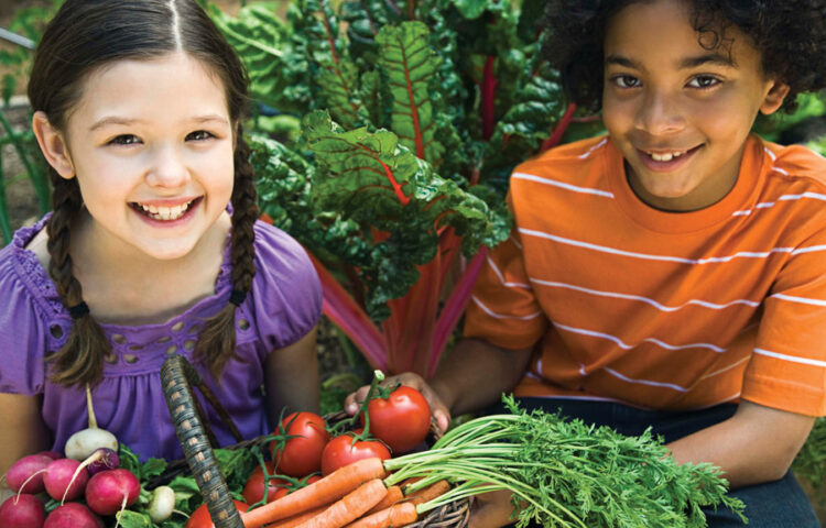 Registered Dietitians’ Top Healthy Eating Tips for Spring and Summer