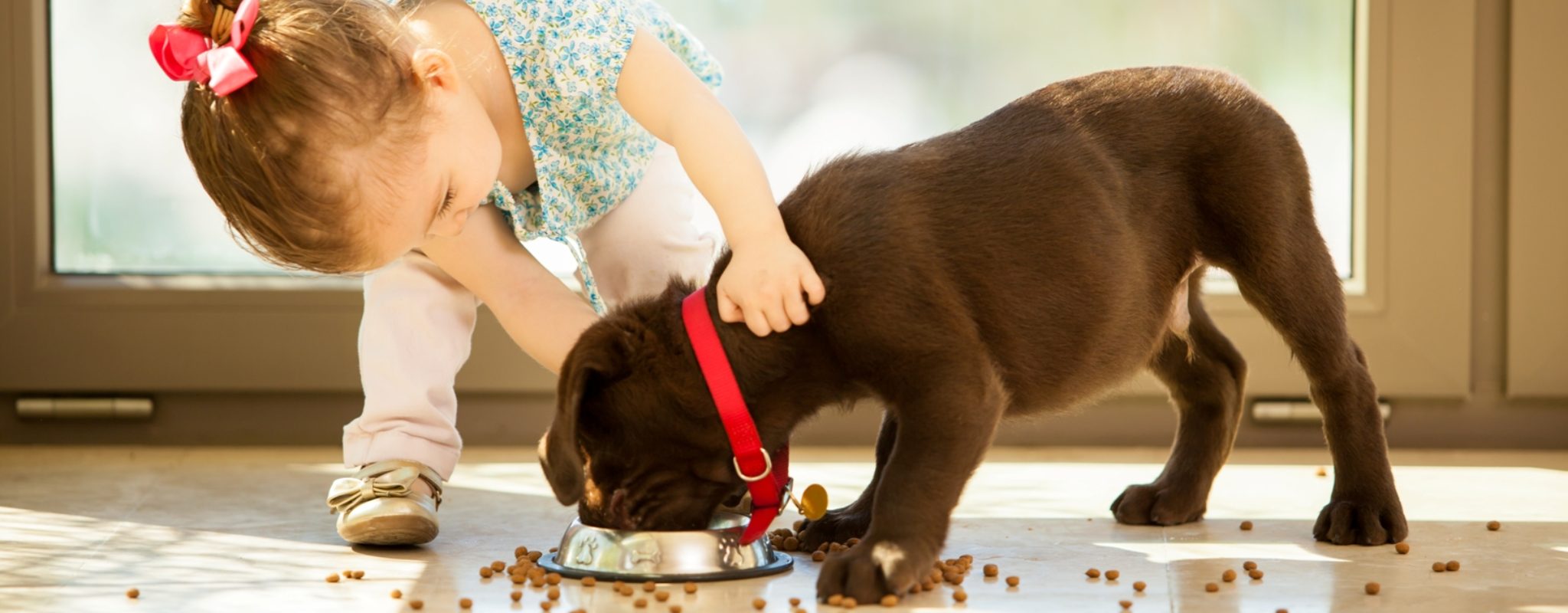 Dog Bites Take a Paws for Prevention Promise