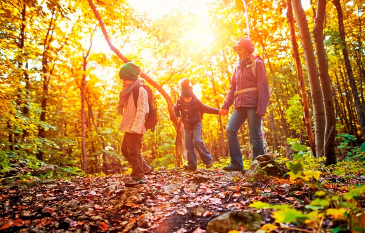 5 Fun Fall Activities to Keep Kids Moving, Powered by Nemours Children's Health System