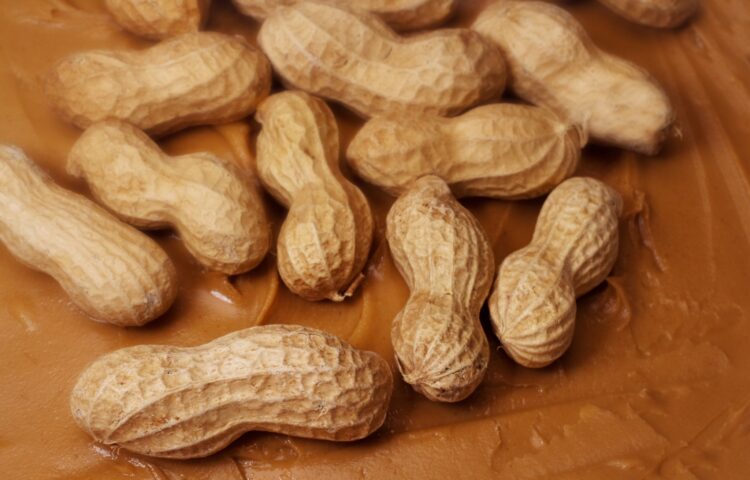 The Good News About Updated Guidelines for Peanut Allergies | Promise, powered by Nemours Children's Health System
