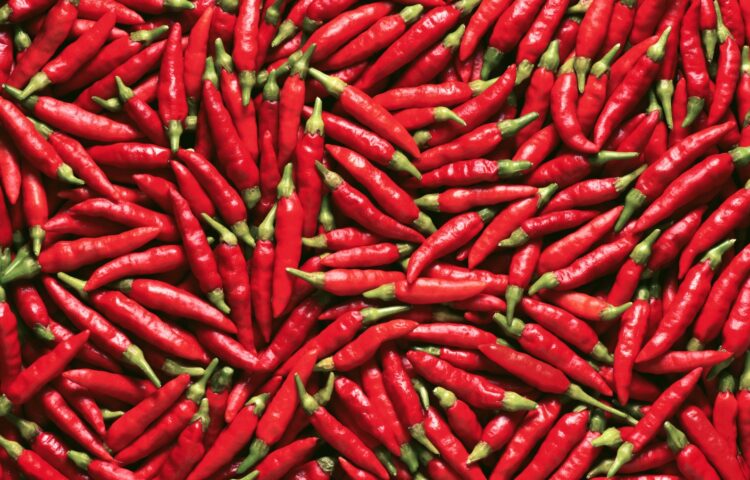 Should kids participate in the Hot Pepper Challenge for ALS?, Powered by Nemours Children's Health System
