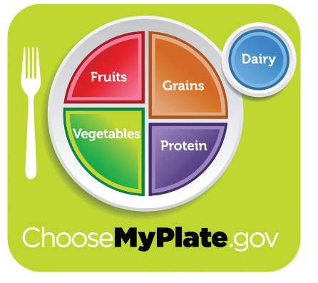 An image of the USDA MyPlate graphic showing a simplified guide to healthy eating. The plate is divided into four colored sections: red for Fruits, green for Vegetables, orange for Grains, and purple for Protein. A smaller circle labeled Dairy is placed beside the plate. There is a text overlay with the website name "ChooseMyPlate.gov"