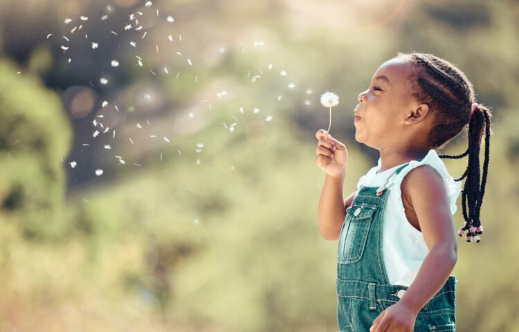 Happy little girl blowing pollen from a flower outside in spring.