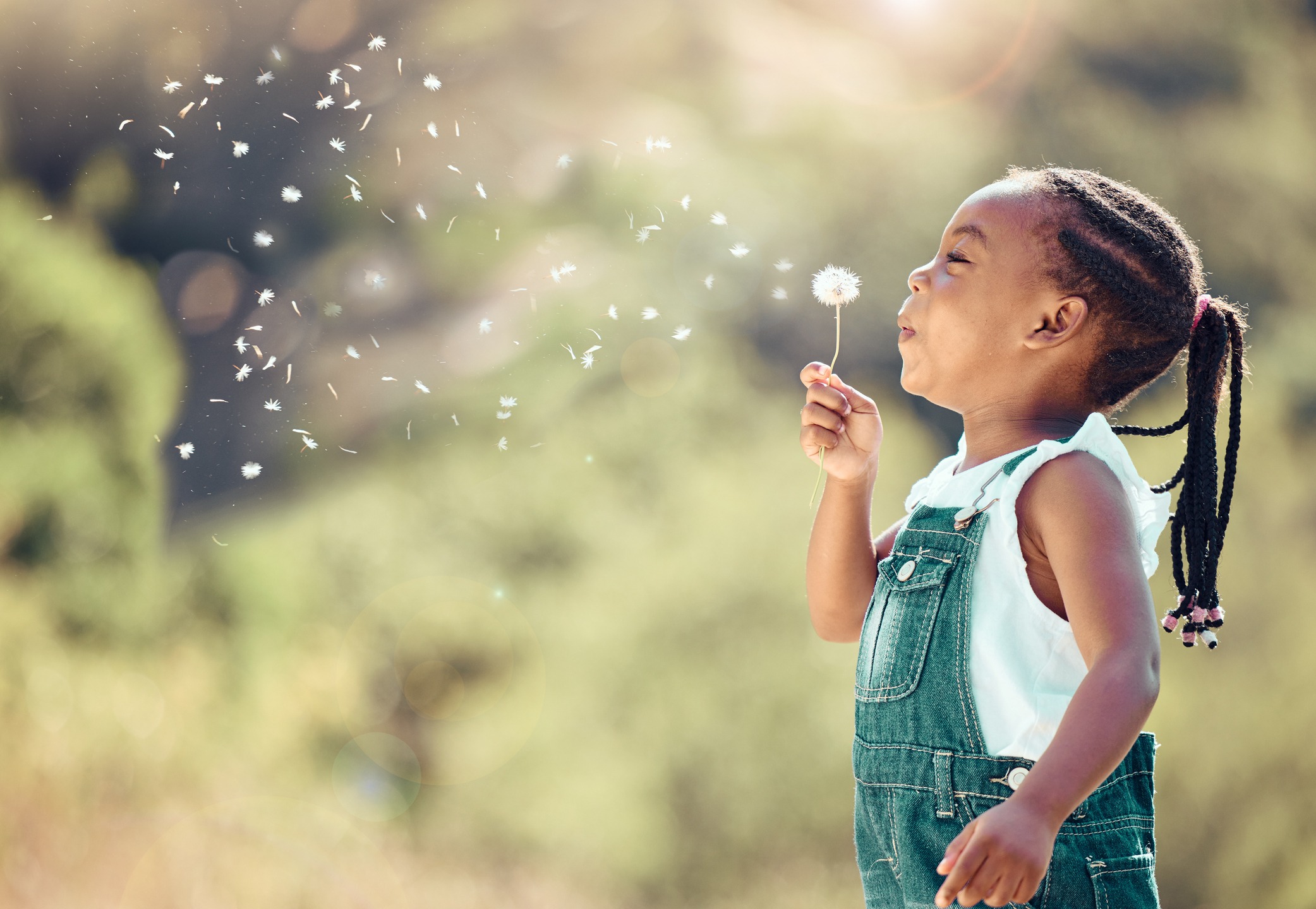 Happy little girl blowing pollen from a flower outside in spring.