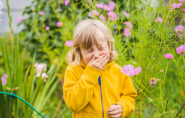 Child sneezing while standing among flowering plants outdoors during fall allergy season.