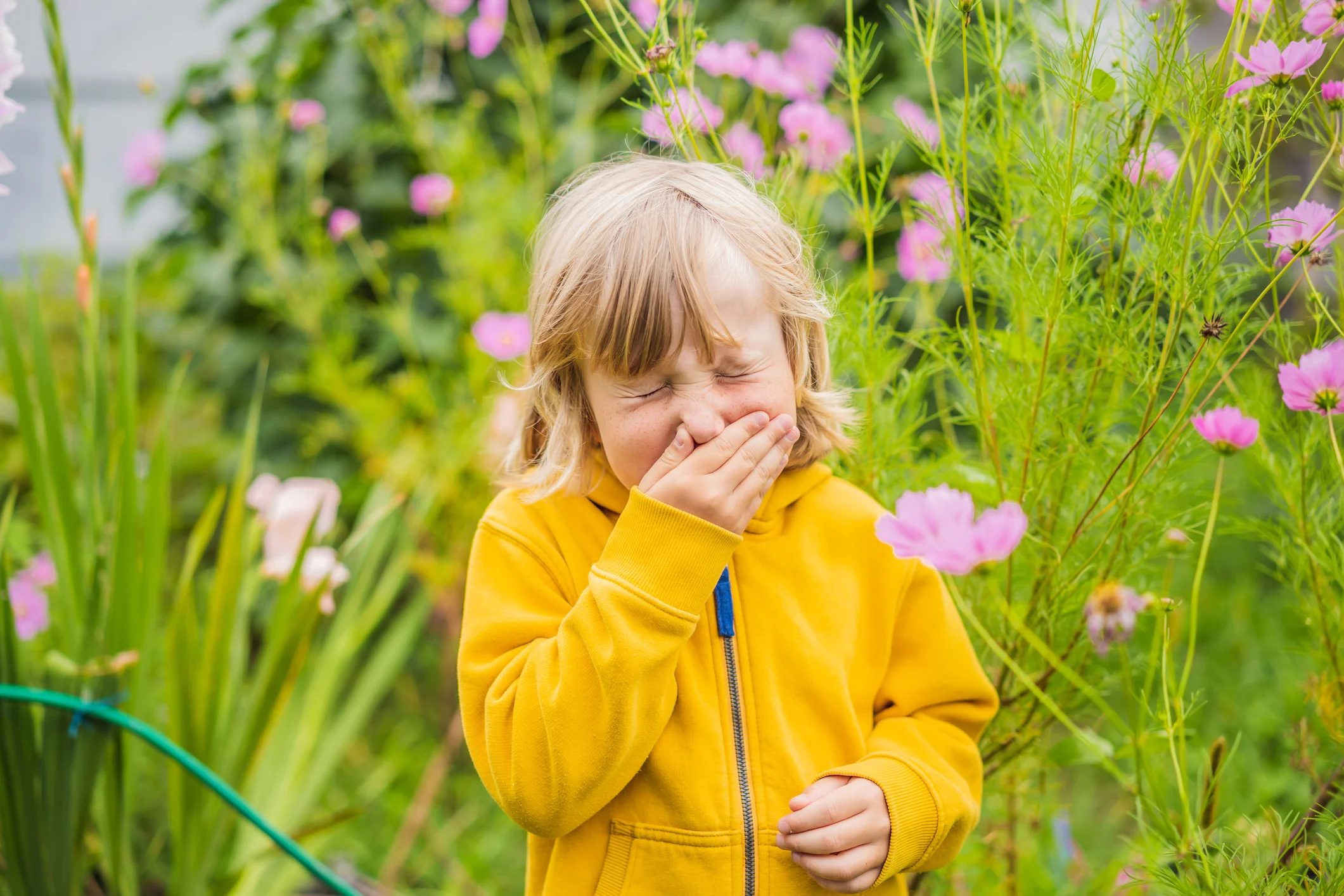 Child sneezing while standing among flowering plants outdoors during fall allergy season.